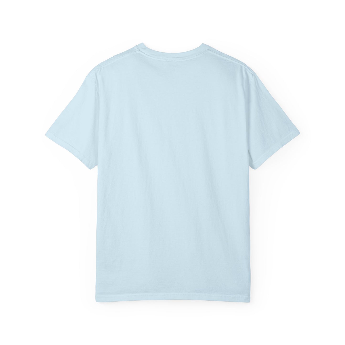 American Islamic College T-shirt, Unisex Garment-Dyed Tee, College Apparel, Casual Wear, Islamic Community Shirt, University Merchandise
