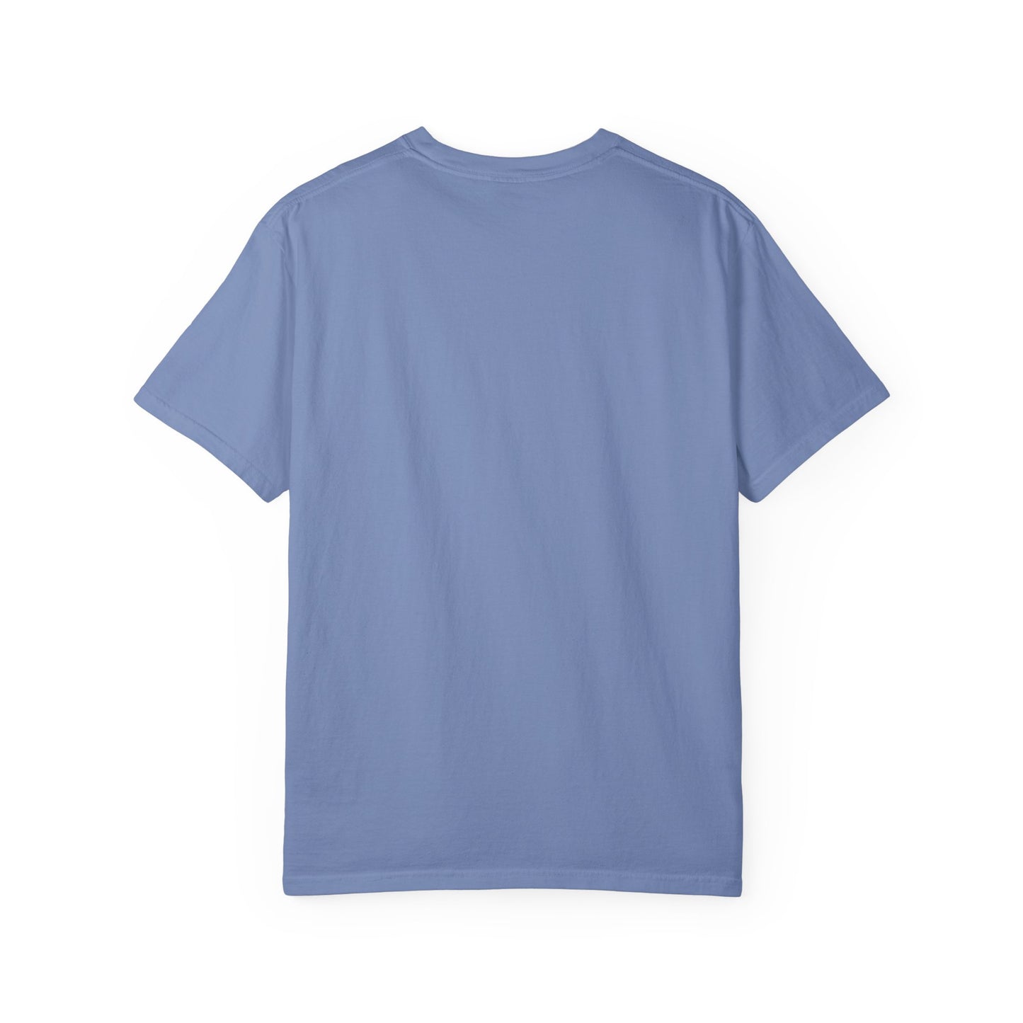 American Islamic College T-shirt, Unisex Garment-Dyed Tee, College Apparel, Casual Wear, Islamic Community Shirt, University Merchandise