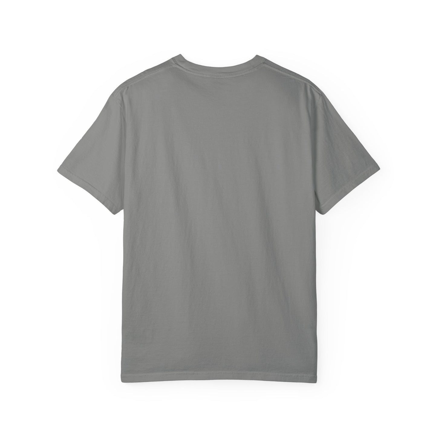 American Islamic College T-shirt, Unisex Garment-Dyed Tee, College Apparel, Casual Wear, Islamic Community Shirt, University Merchandise