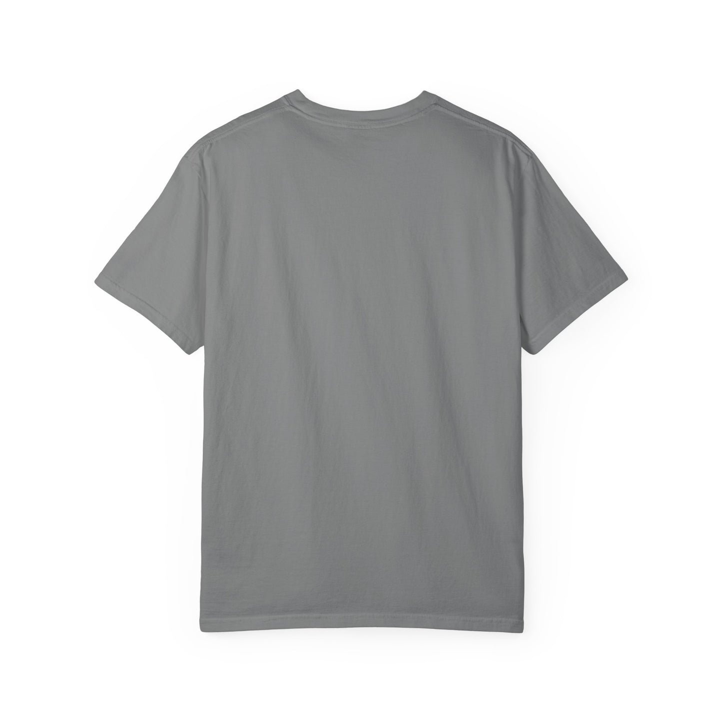 American Islamic College T-shirt, Unisex Garment-Dyed Tee, College Apparel, Casual Wear, Islamic Community Shirt, University Merchandise