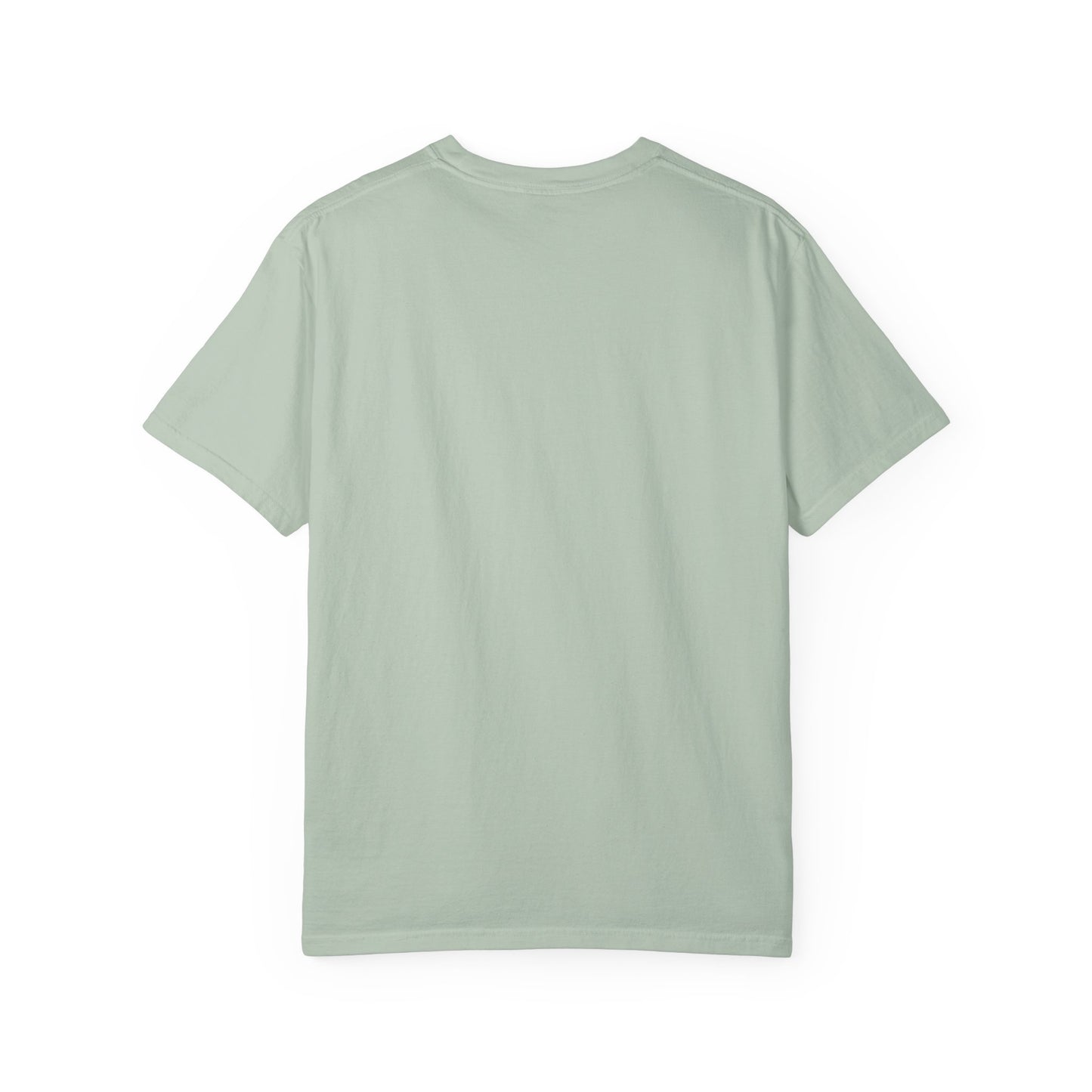 American Islamic College T-shirt, Unisex Garment-Dyed Tee, College Apparel, Casual Wear, Islamic Community Shirt, University Merchandise